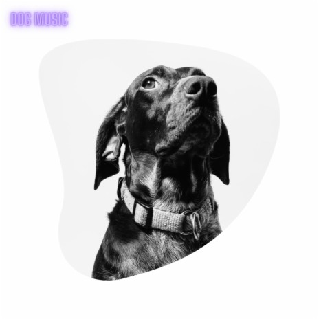 Song For Dogs | Boomplay Music