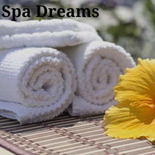 Spa Dreams