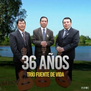 36 Años