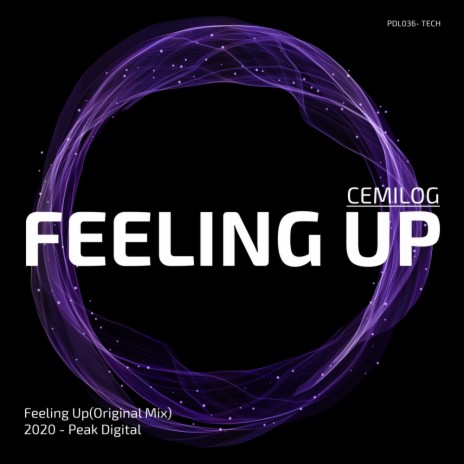 Feeling Up (Original Mix)