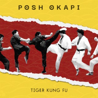 Tiger Kung Fu