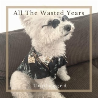 All the Wasted Years