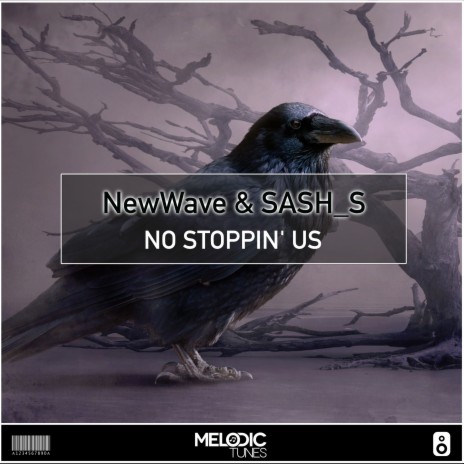 No Stoppin´Us ft. Sash_S | Boomplay Music