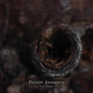 Forest Answers