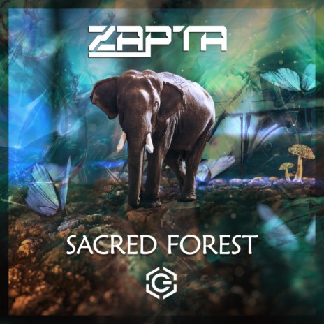 Sacred Forest | Boomplay Music