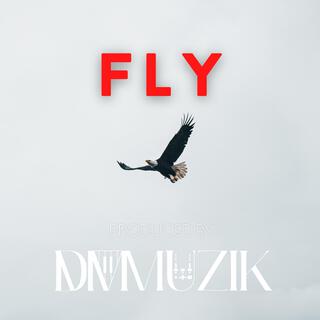 Fly