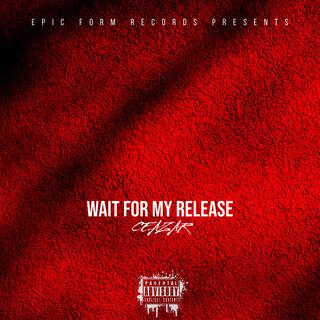 Wait For My Release