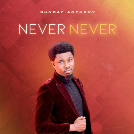 Never Never | Boomplay Music