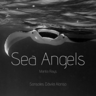 Sea Angels - Manta Rays