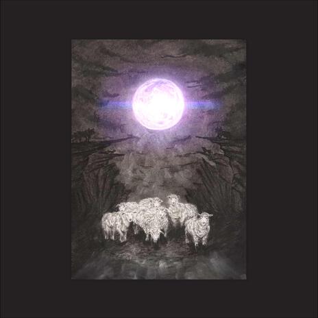 Sheep | Boomplay Music