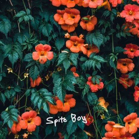 Spite Boy | Boomplay Music