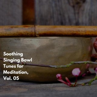 Soothing Singing Bowl Tunes for Meditation, Vol. 05