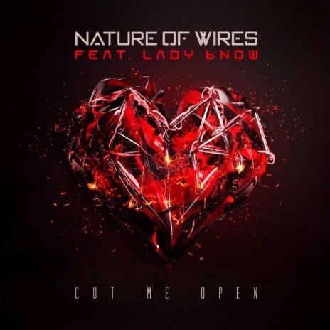 Cut Me Open ft. Sarah B Lady Bnow