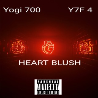 Yogi 700