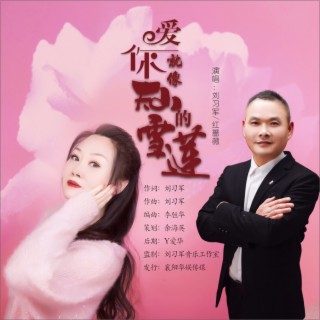 爱你就像天山的雪莲（新版对唱） ft. 红蔷薇 lyrics | Boomplay Music