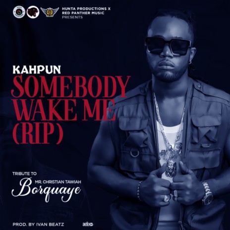 Somebody Wake Me (RIP) | Boomplay Music