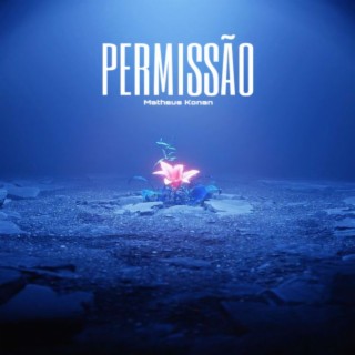 Permissão