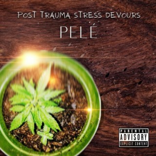 Post Trauma Stress Devours