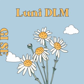 Luni Dlm