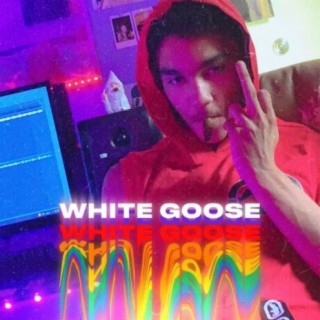 WHITE GOOSE