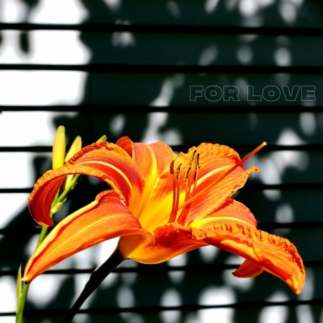 For Love ft. Jobu | Boomplay Music