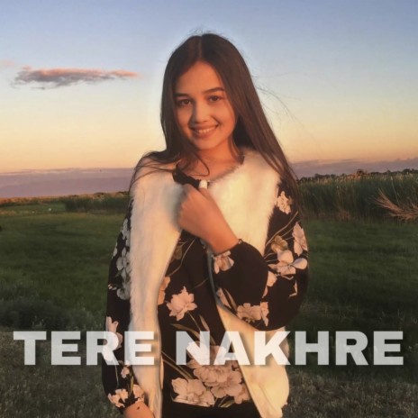 Tere Nakhre | Boomplay Music