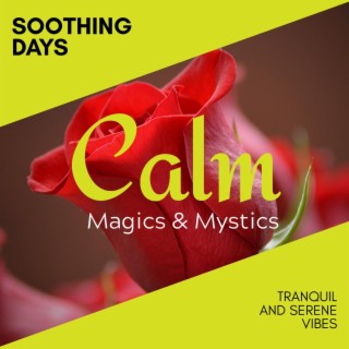 Soothing Days - Tranquil and Serene Vibes