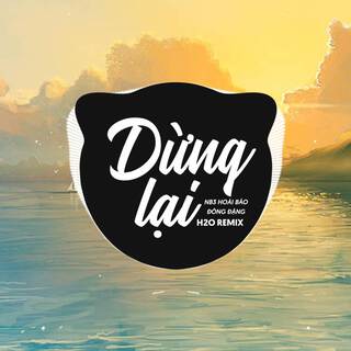 Dừng Lại (Remix EDM)