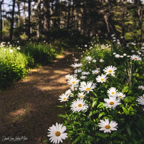 Flowery Path ft. landq | Boomplay Music