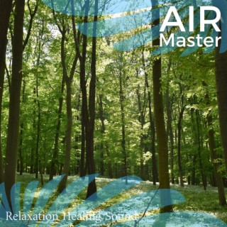 Relaxation Healing Sound