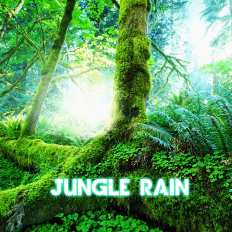 Jungle Night rain & thunder (feat. The Nature Sounds, Thunder Sounds, Thunderstorm & Rain, Weather Forecast, Outside Samples & Rain Unlimited)