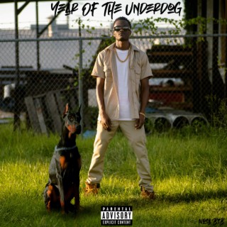Year Of The Underdog