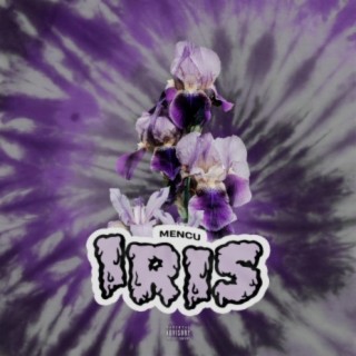 iris lyrics | Boomplay Music