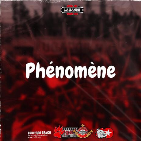 Phénomène | Boomplay Music