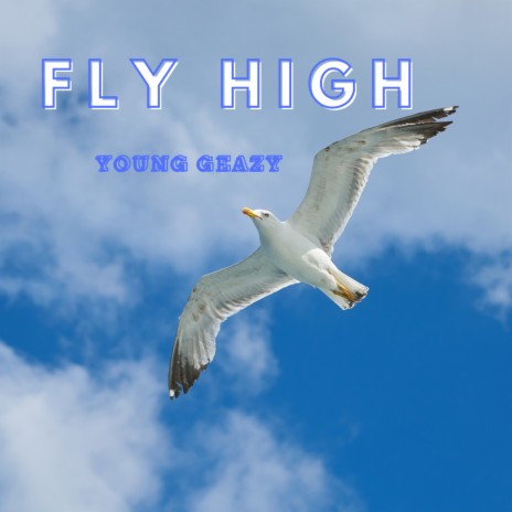 Fly High | Boomplay Music