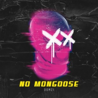 No Mongoose
