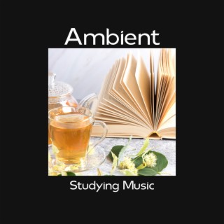 Ambient Studying Music: Panic Attack Relief Before Exams, Brainwave Meditation