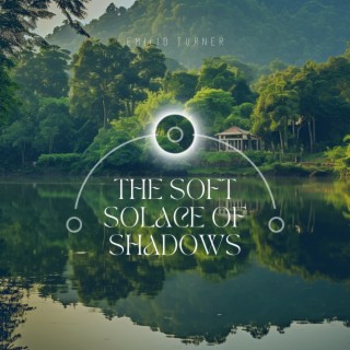 The Soft Solace of Shadows