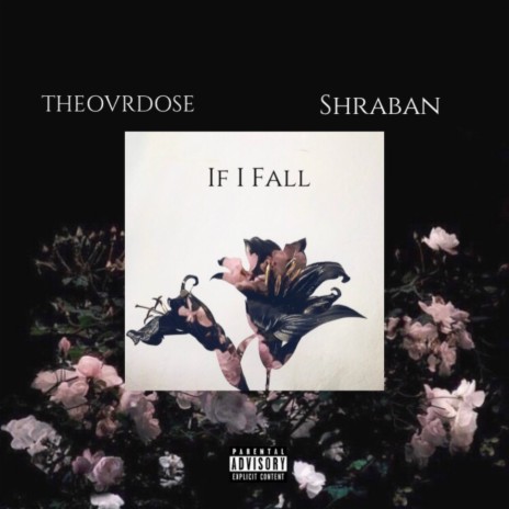 If I Fall v2 ft. Shraban | Boomplay Music