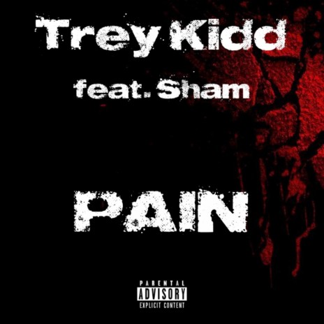 Pain ft. Sham | Boomplay Music