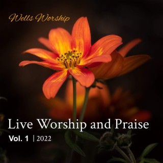 Live Worship and Praise, Vol. 1