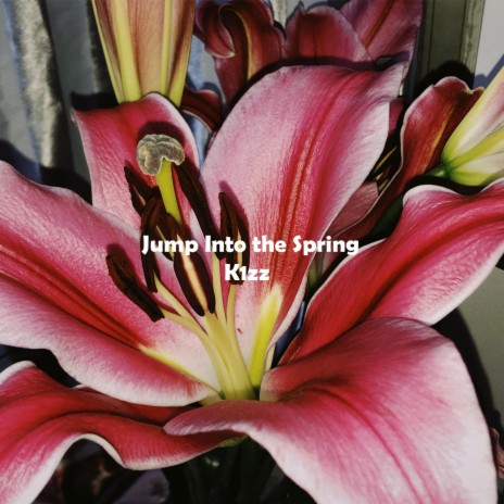 Jump Into the Spring | Boomplay Music