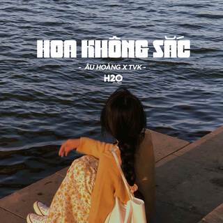 Hoa Không Sắc (Lofi Ver.)