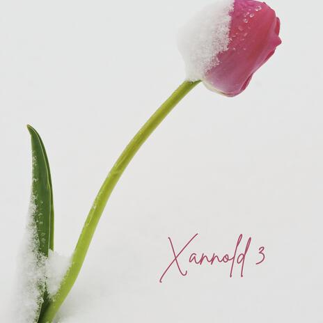 Xannold 3 ft. Hanna | Boomplay Music