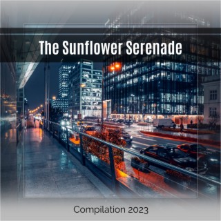 The Sunflower Serenade