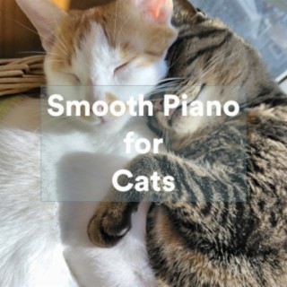 Smooth Piano for Cats
