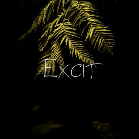 Excit | Boomplay Music