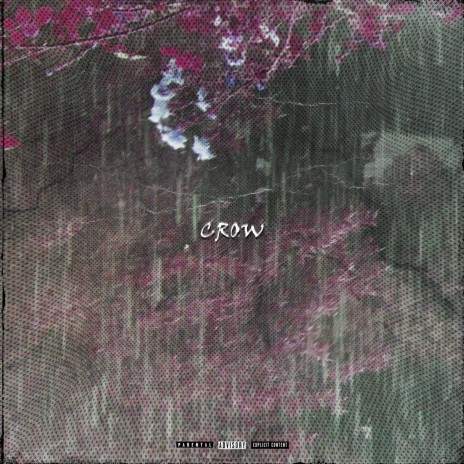 Crow | Boomplay Music