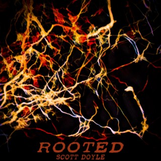 Rooted