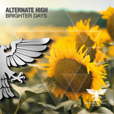 Brighter Days | Boomplay Music